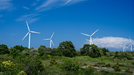 Working wind farms in clear weather behind the trees