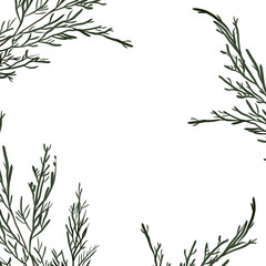Christmas frame with fir, pine fir branches, hand drawn illustration, winter holiday frame.