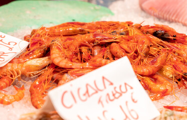 Variety of fresh seafood on the fish market in Barcelona, Spain
