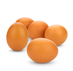 chicken egg isolated on white background.