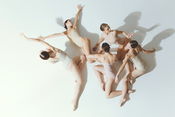 Group of young girls, ballet dancers performing, posing isolated over grey studio background. Beauty of movements