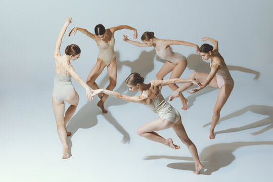 Group of young girls, ballet dancers performing, posing isolated over grey studio background. Circle movements