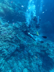 Fototapeta na wymiar Scuba Divers swim in tropical sea at the coral reef in the Red Sea, Egypt..