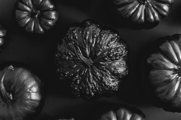 Fototapeta na wymiar Different kinds of small pumpkins painted in black placed on dark background