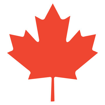 Maple Leaf Vector Icon Illustration