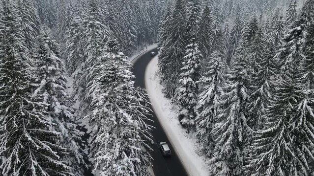 aerial view of snowed winter road in carpathian mountains