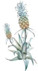 Canvas schilderij Jungle Watercolor bush with pineapple botanical illustration  © Zenina-Lembrik