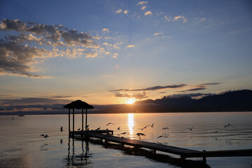 Obraz premium Steg am Genfersee bei Sonnenaufgang mit Möwen