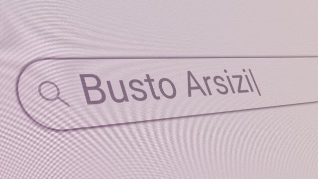 Search Bar Busto Arsizio 
Close Up Single Line Typing Text Box Layout Web Database Browser Engine Concept