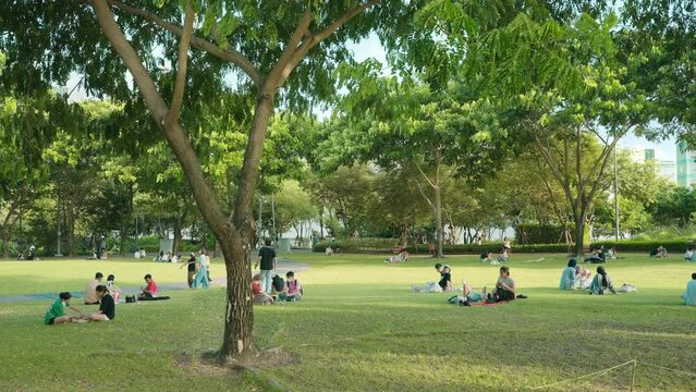 People relax on the green lawn in public park with green grass field and green fresh tree plant at 100 Years CU Park Bangkok, Thailand