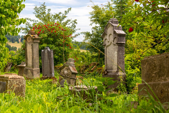 tombstones in an old cemetery overgrown with grass