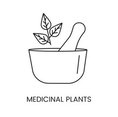 Medical plant line icon in a bowl with a pusher, vector illustration.