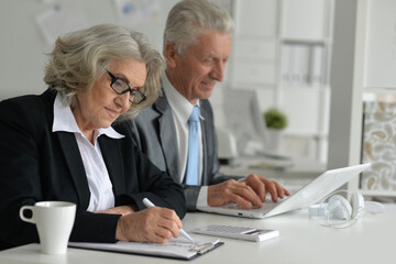 Obraz premium Portrait of an elderly couple of businessmen at a laptop 