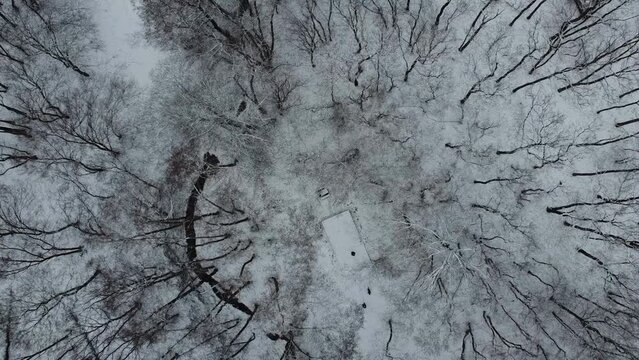 Aerial view of a forest near Sopron, Hungary, on a snowy winter