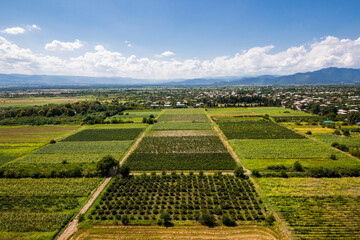 High angle view of agricultural fields in Kakheti, Georgia