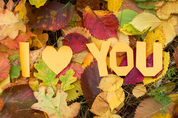 Naklejka na ściany i meble Cold snap, the onset of autumn. Letters Love You on the background of fallen leaves. Decorative lettering, autumn concept