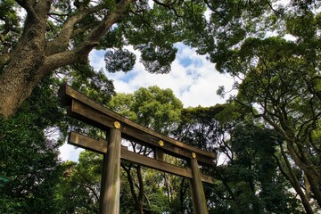 Torii gate Meiji Shrine entry to a park in Tokyo, Japan
