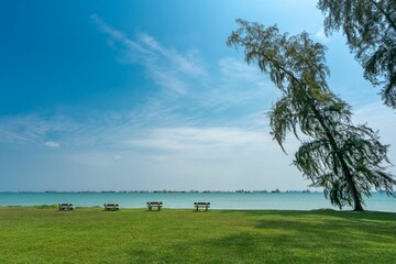Beautiful shot of a coastline covered with a grass field and a tilted tree