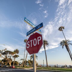 Low angle of a Stop road sign near a tropical park
