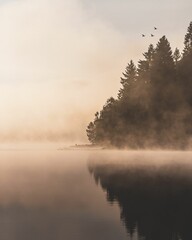 Vertical shot of foggy weather over the lake with reflections