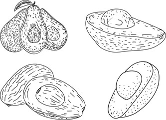 Hand drawn Avocado. Organic fruit. Suitable for websites, Social media and layouts, Stickers, Banners, Art and collages, General use cases. png.