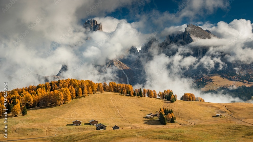 Wall mural Beautiful view of aligned forest trees and rural houses on high hills under cloudy day