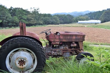 Naklejka premium ハーブ園、こわれたトラクター、小屋、雑草