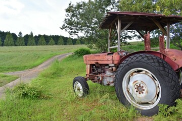 Obraz premium ハーブ園、こわれたトラクター、小屋、雑草