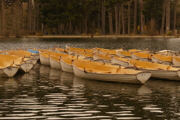 Barque du bois de Boulogne Paris en automne 