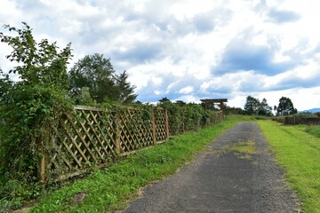 木の柵、樹木、蔦や蔓、草花、ハーブ園