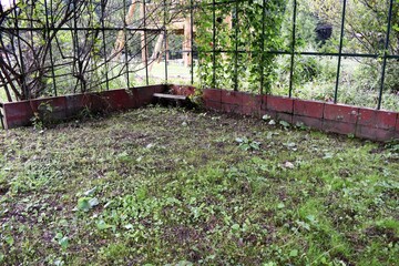 ハウスの残骸、樹木、蔦や蔓、草花、ハーブ園