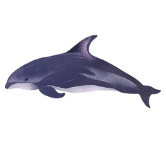 Swimming dolphin © Oleksandra