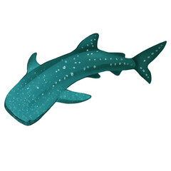 Swimming whale shark