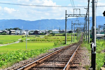 線路、踏切、単線、田んぼ、電線