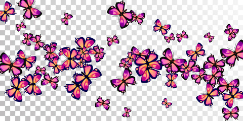 Tropical purple butterflies abstract vector illustration. Spring colorful insects. Fancy butterflies abstract kids wallpaper. Tender wings moths patten. Fragile creatures.