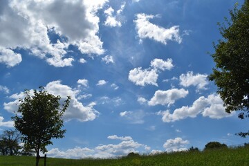 Obraz premium 芝生、樹木、白い雲、夏空、青空