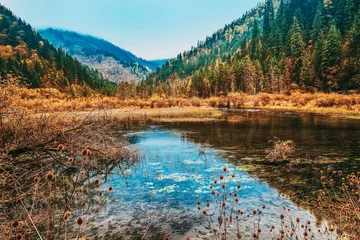 Landschaft eines Teiches mit Reflexionen auf der Oberfläche und Waldbäumen im Hintergrund © Lanffier Yang/Wirestock Creators