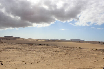 Desert in the Canary Islands. Fuerteventura island, Spain