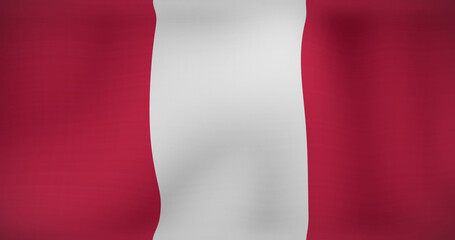 Obraz premium Image of data processing over flag of peru