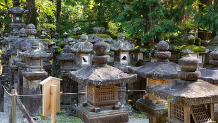 Several stone lanterns in the sunlight at the temple
