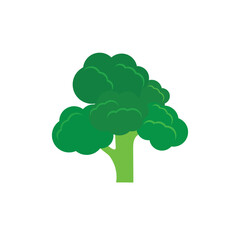 Broccoli icon template illustration