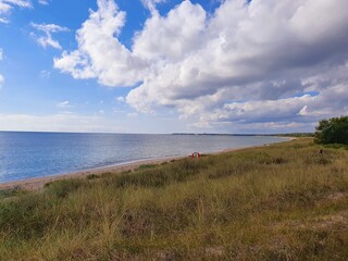 view of the beach