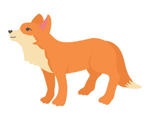 Fototapeta premium Doodle flat clipart. Little cute red fox. All objects are repainted.