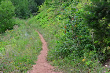 red clay footpath going down to the forest