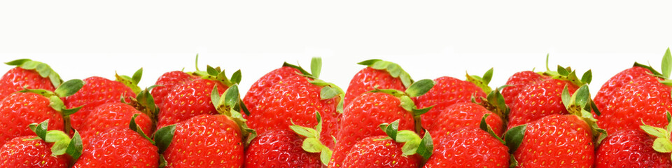 美味しい真っ赤な旬の苺