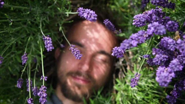 Connecting with nature. Young bearded man lying among lavander flowers in blossom field, bees are circling around. Happy guy relax on the grass on sunny summer day.