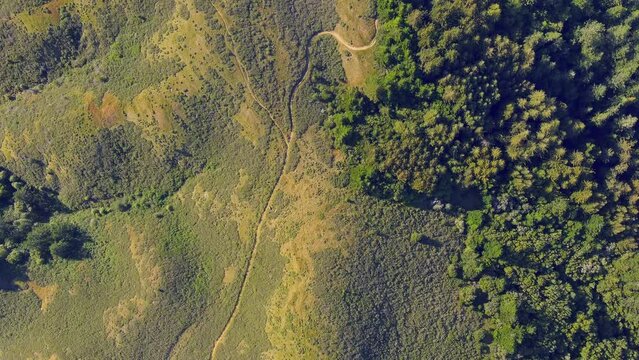 Aerial View Of Trails At The Nip Parking On Mt Tamalpais In Bolinas, California, USA. top-down