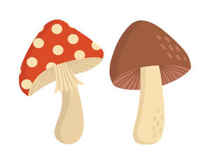 Doodle flat clipart. Edible brown mushroom. All objects are repainted.