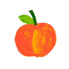 Png peach icon on transparent background. Color hand-drawn nectarine sketch. Yellow plum illustration for baby food logo, juice label design, fruity packaging. Apricot drawing for jam package.
