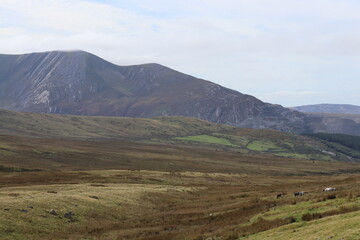 Obraz premium Snowdonia Carneddau Carnedd y Filiast